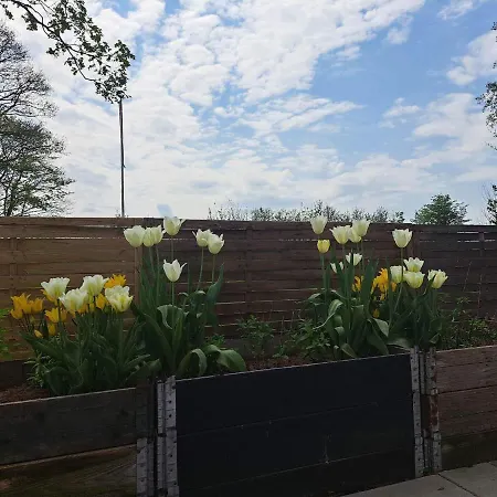 아파트 Hyggelig Ved Givskud